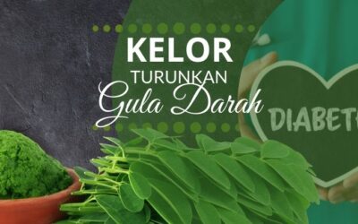 Menurunkan Kadar Gula Darah Secara Efektif dengan Kelor